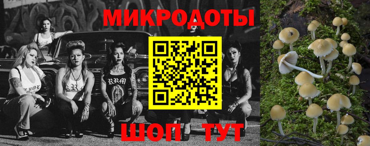 Псилоцибиновые грибы Magic Shrooms Мелеуз
